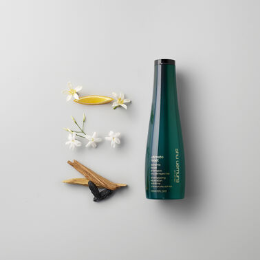 ultimate reset shampoo - Shu Uemura Pro | L'Oréal Partner Shop