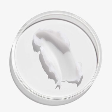 Frizz Dismiss Conditioner - Hårpleje fra Redken | L'Oréal Partner Shop