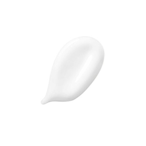Discipline Fondant Fluidealiste - QuickOrder | L'Or&eacute;al Partner Shop